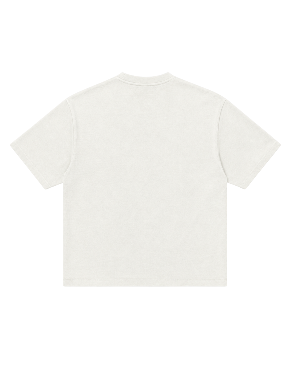 STAR GIRL - VELORIN PARIS OVERSIZED T-SHIRT